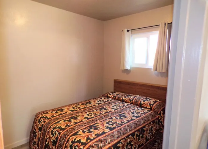 Cypress Tree Motel